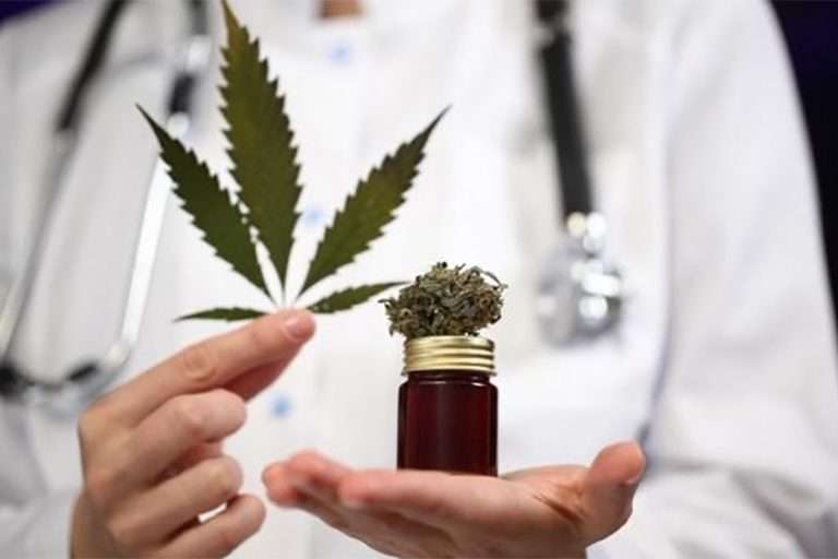 Cannabis thérapeutique