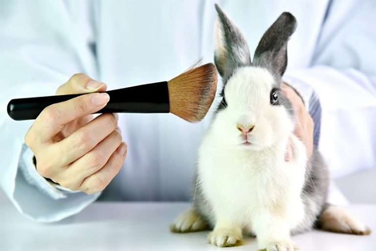 EXPÉRIMENTATION ANIMALE