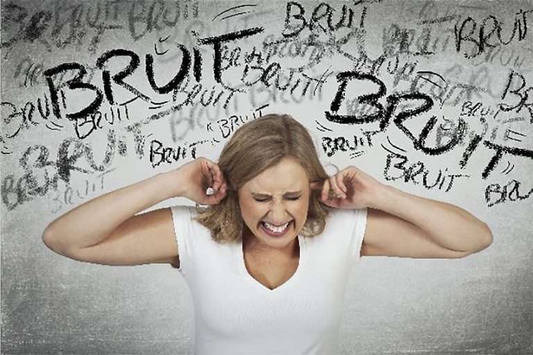 LE COÛT SOCIAL DU BRUIT