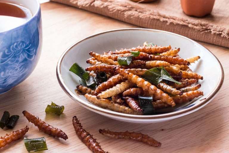 CONSOMMATION D'INSECTES DANS L'ALIMENTATION HUMAINE