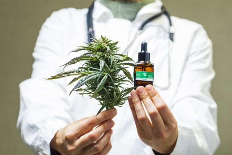 Cannabis thérapeutique