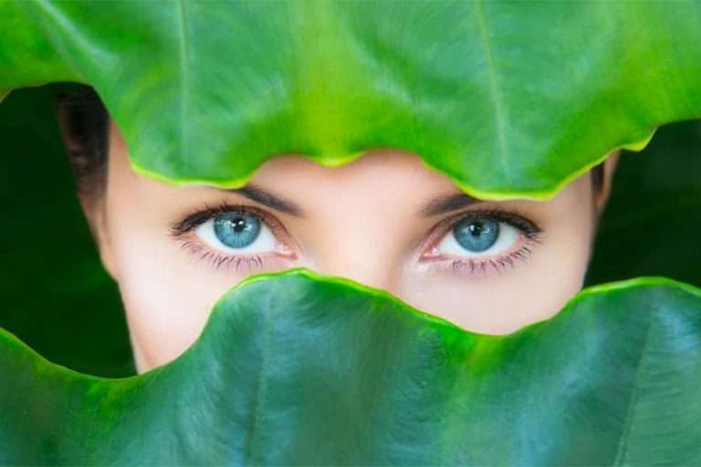 LE VEGAN EST-IL BON POUR LA SANTÉ ?