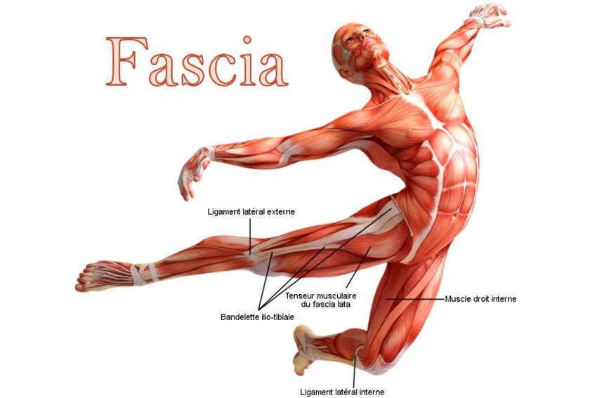 étirement myofascial