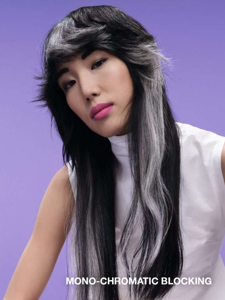 WELLA MONO CHROMATIC BLOCKING copie