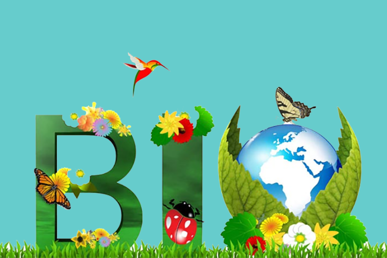bio