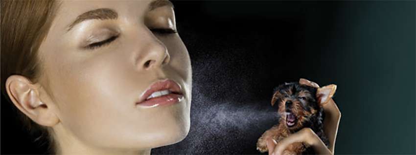 TESTS SUR ANIMAUX