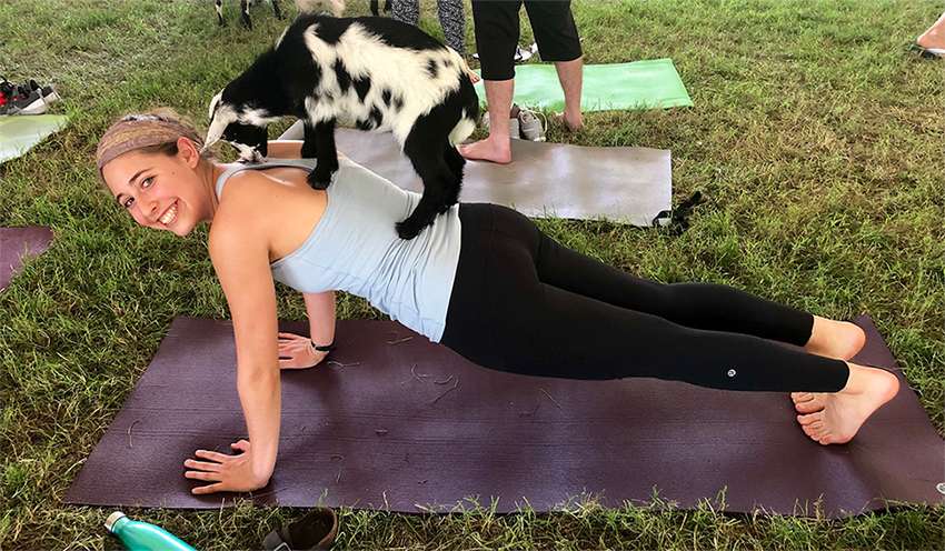 GOAT YOGA