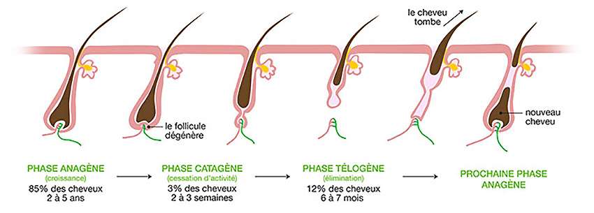 cheveux