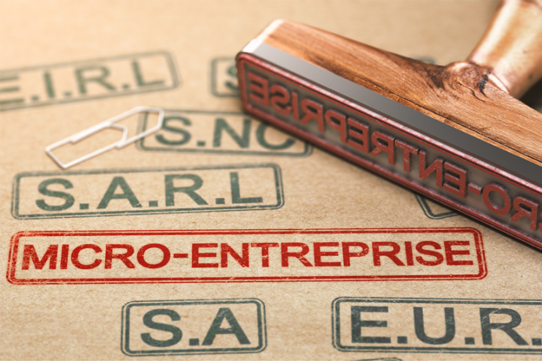 MICRO ENTREPRISE