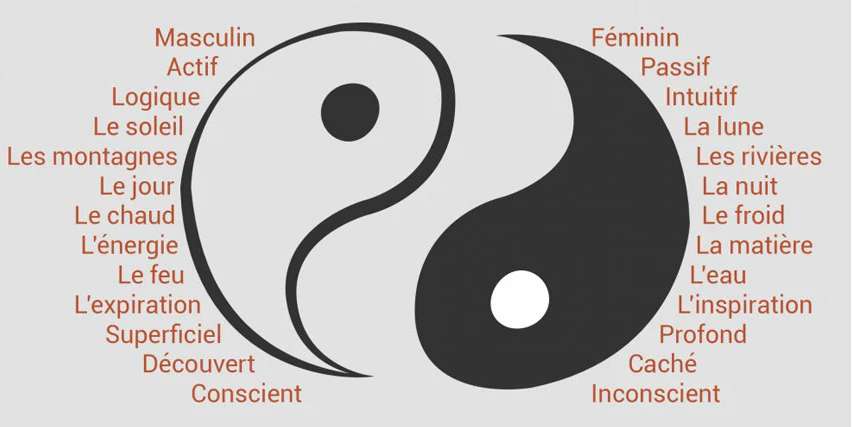 yin et yang