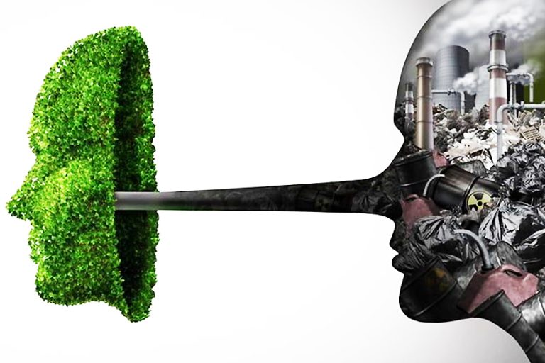 GREENWASHING