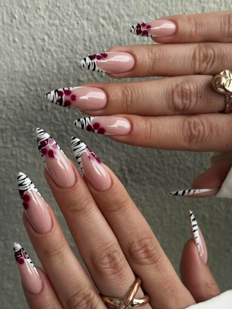 FRENCH ZEBRE