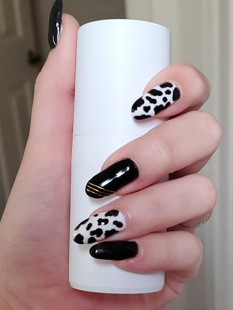 zebre 2