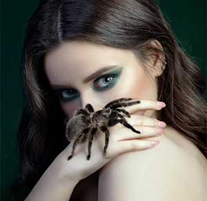araignée