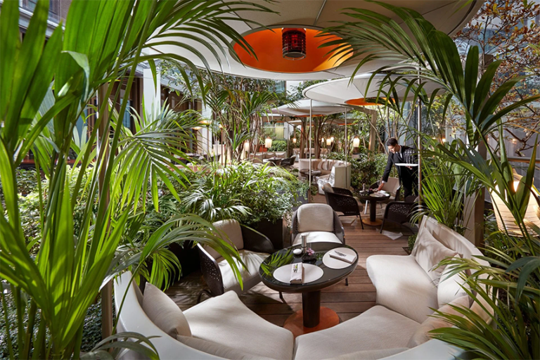 Mandarin oriental